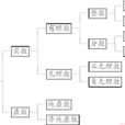數系