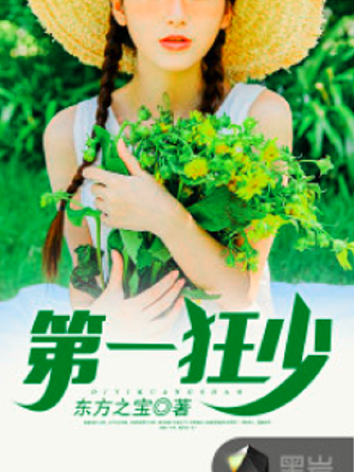 第一狂少(東方之寶創作的網路小說) 第一狂少(東方之寶創作的網路小說)