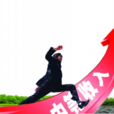 中等收入國家 中等收入國家