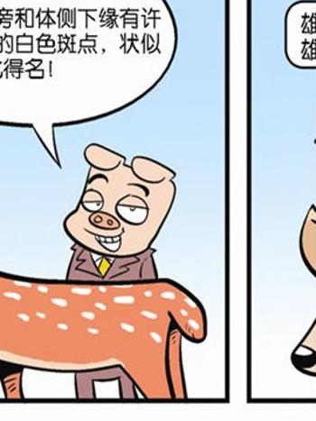 動物可笑堂20 動物可笑堂20
