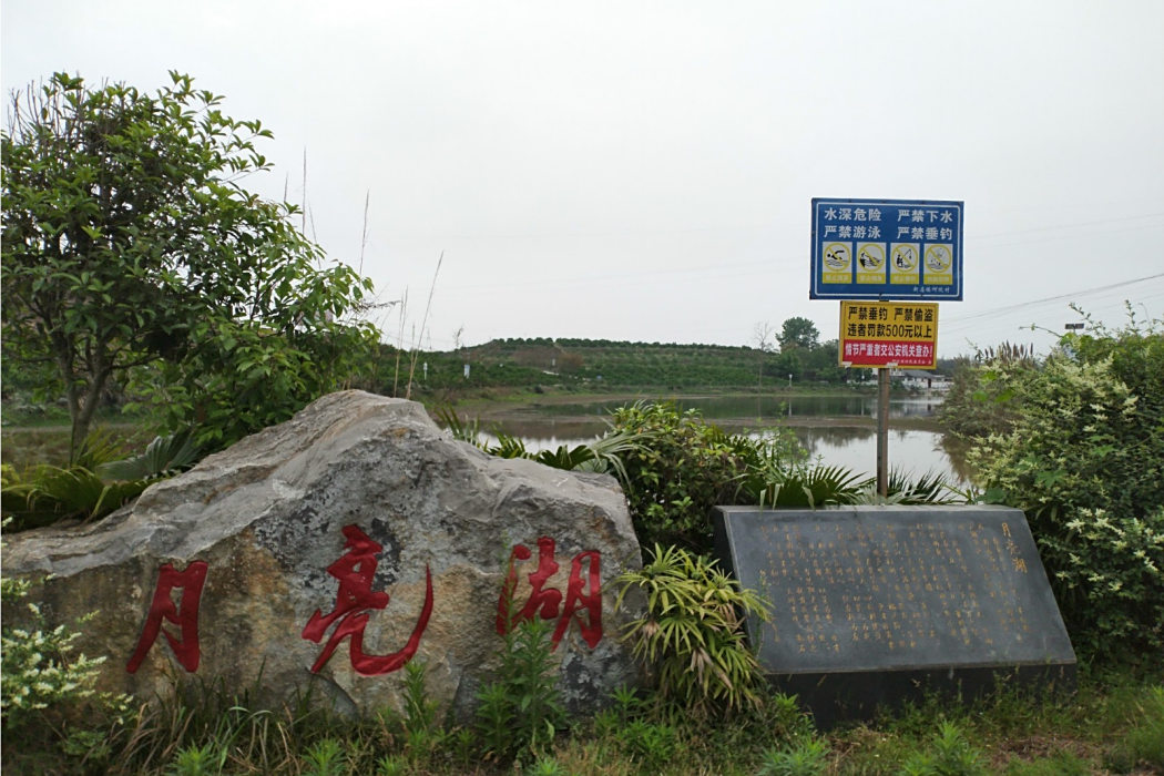 月亮湖(自貢市的一座湖泊)