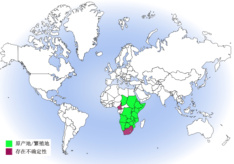 非洲鵟分布圖
