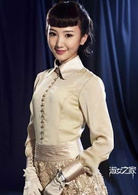 淑女之家(2015年林清振、林龍執導電視劇)