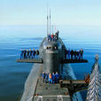 667BDRM型戰略核潛艇