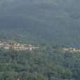 作咪村