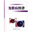 角膜病圖譜 角膜病圖譜
