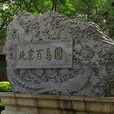 百鳥園 百鳥園