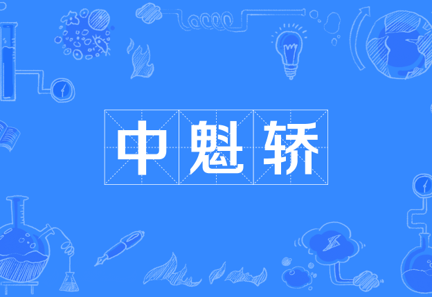 中魁轎 中魁轎