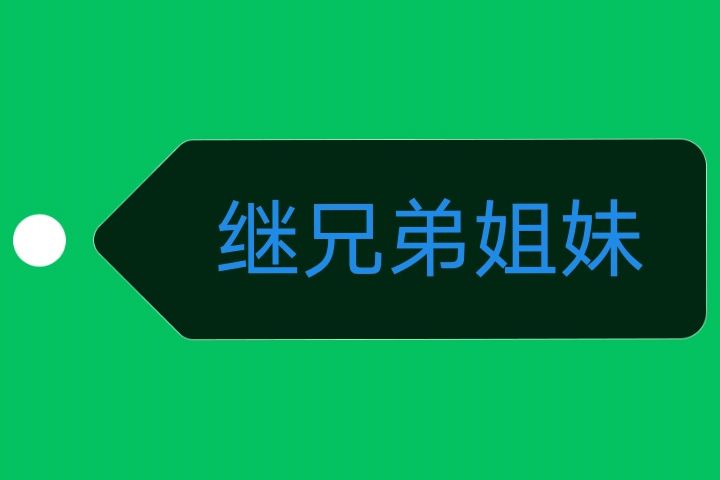 繼兄弟姐妹 繼兄弟姐妹