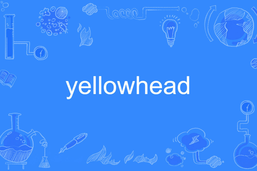 yellowhead yellowhead