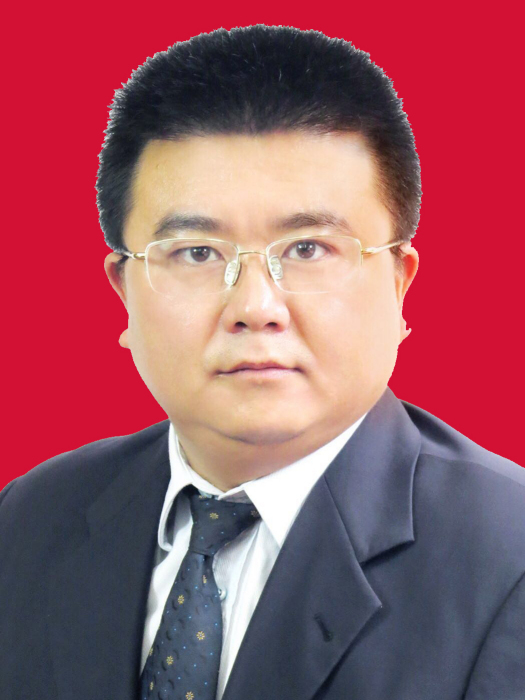 王勝(四川省成都市人民政府辦公廳副主任) 王勝(四川省成都市人民政府辦公廳副主任)