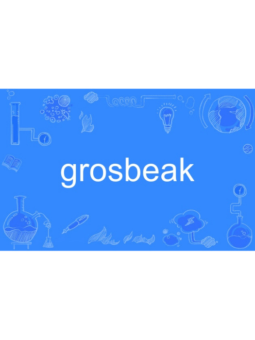 grosbeak grosbeak