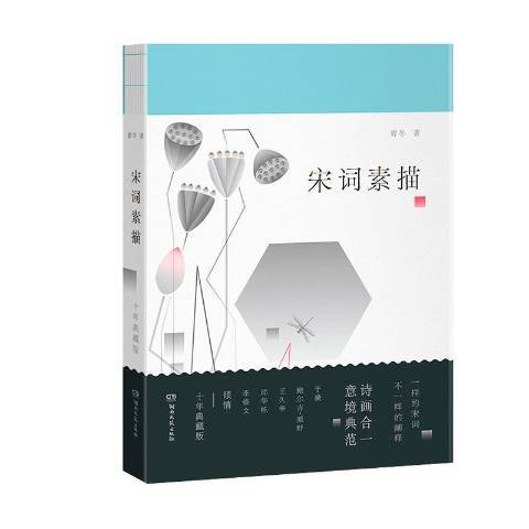 宋詞素描(2021年湖南文藝出版社出版的圖書) 宋詞素描(2021年湖南文藝出版社出版的圖書)