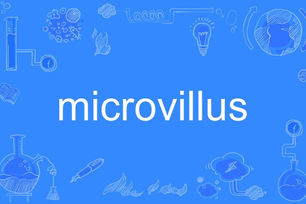 microvillus microvillus