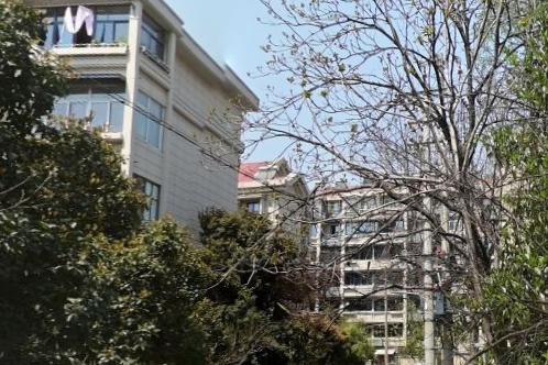西康新村 西康新村