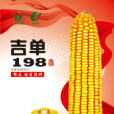 吉單198 吉單198