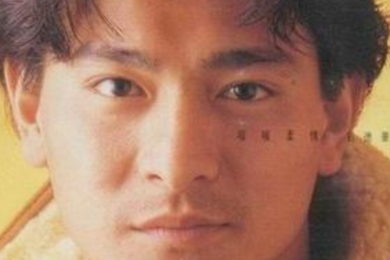 暖暖柔情 暖暖柔情