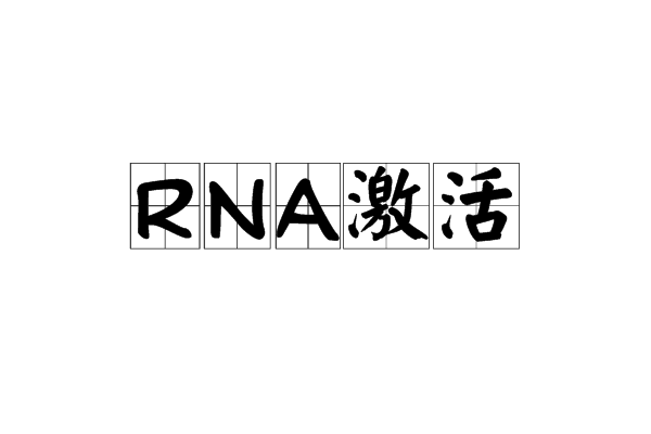 RNA激活