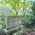 鳳凰山窯址群 鳳凰山窯址群