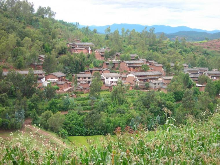 伍莊村 伍莊村