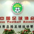 中國足球協會紀律準則及處罰辦法（試行）