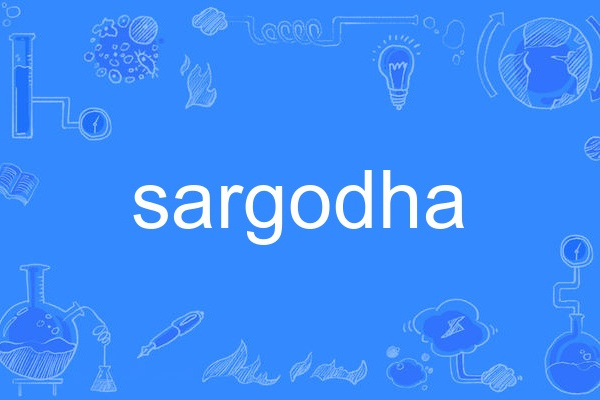 sargodha sargodha