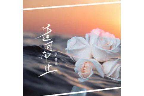 適可而止(尹昔眠演唱的歌曲) 適可而止(尹昔眠演唱的歌曲)