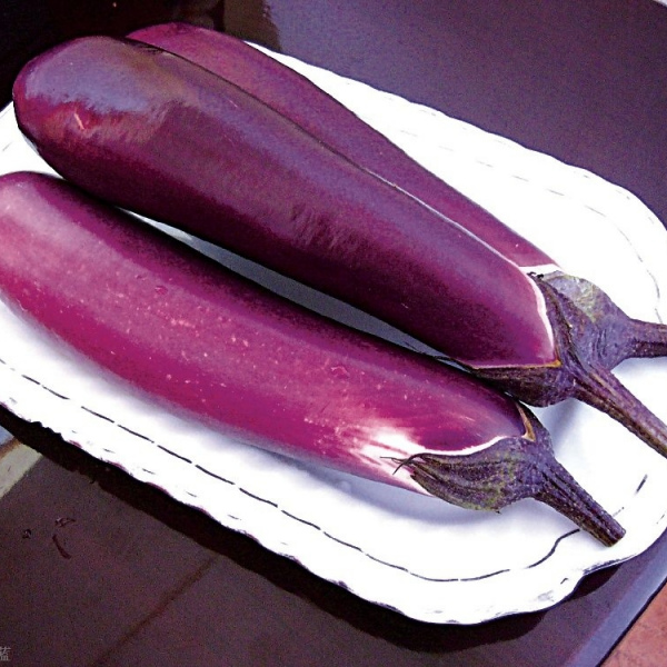 LE-40-茄子