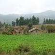 石坎子村(雲南漾濞縣瓦廠鄉下轄村) 石坎子村(雲南漾濞縣瓦廠鄉下轄村)