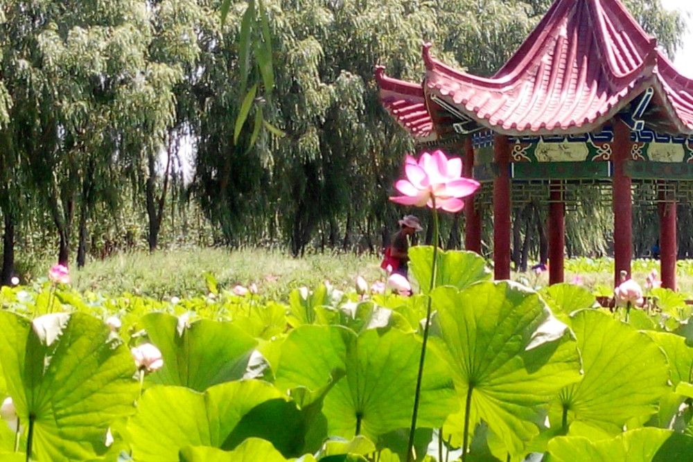 桃源旅遊區 桃源旅遊區