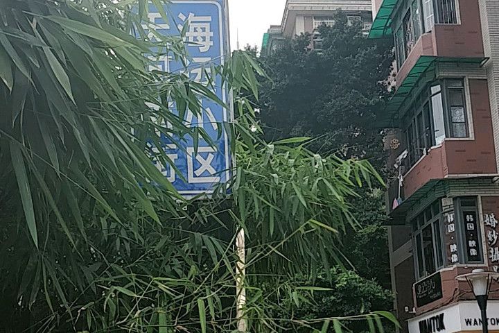 海運小區(廣州市海運小區) 海運小區(廣州市海運小區)