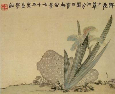 蝴蝶蘭圖
