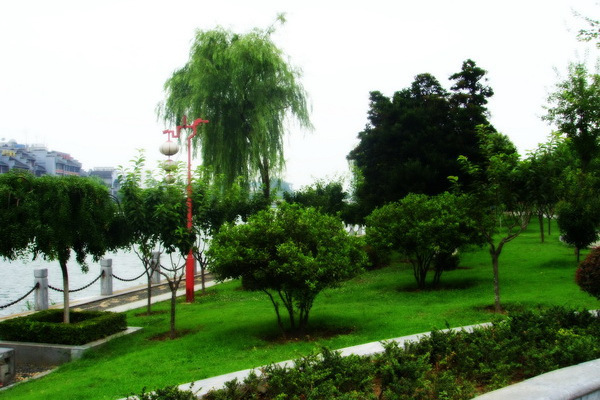 上賓公園 上賓公園