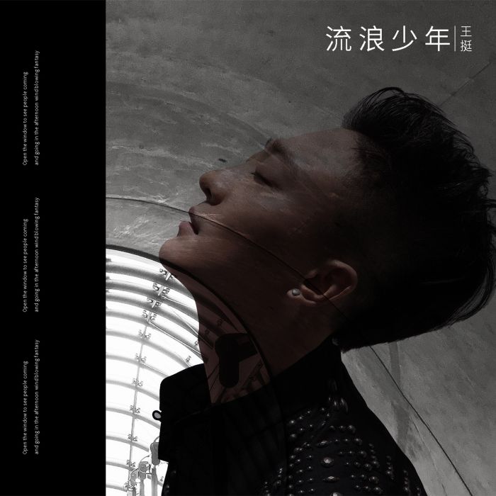 流浪少年(王挺演唱歌曲)