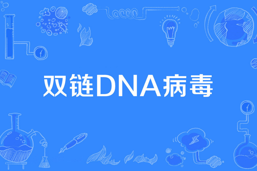 雙鏈DNA病毒 雙鏈DNA病毒