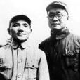 許鐵英 許鐵英