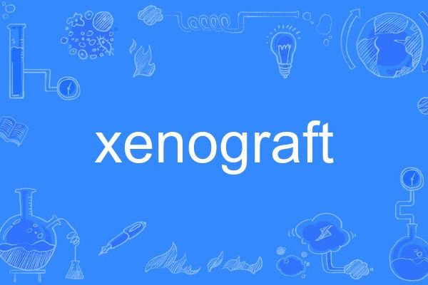 xenograft xenograft