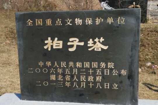 柏子秋蔭