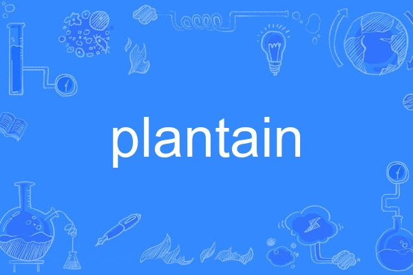 plantain plantain