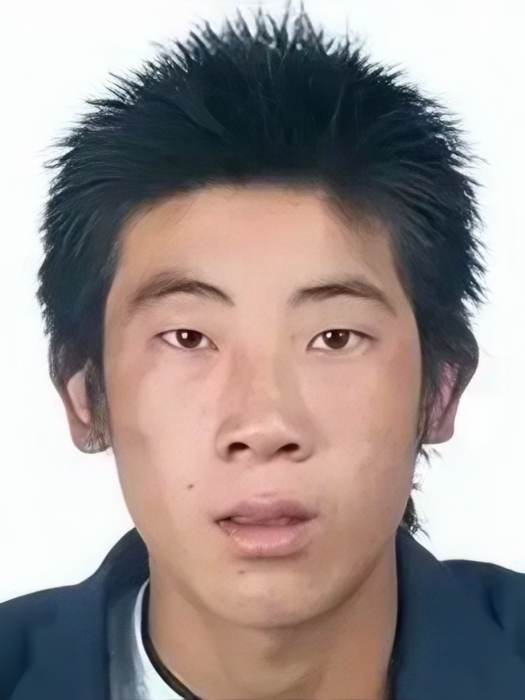 陳小平(犯罪嫌疑人) 陳小平(犯罪嫌疑人)