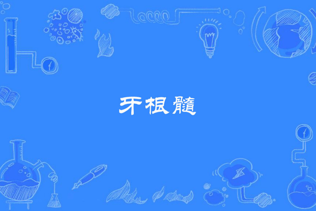 牙根髓
