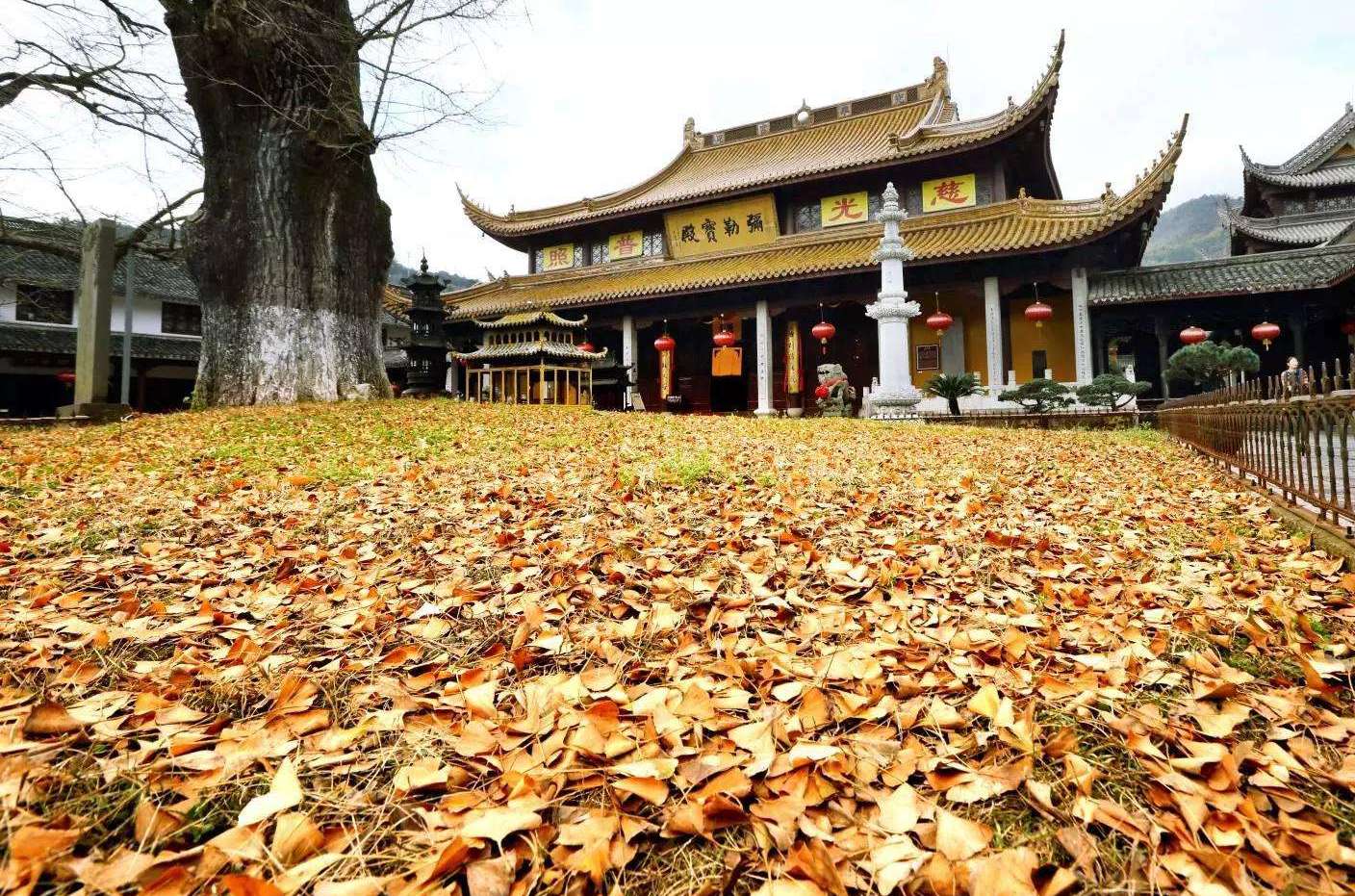 蓮花古寺 蓮花古寺