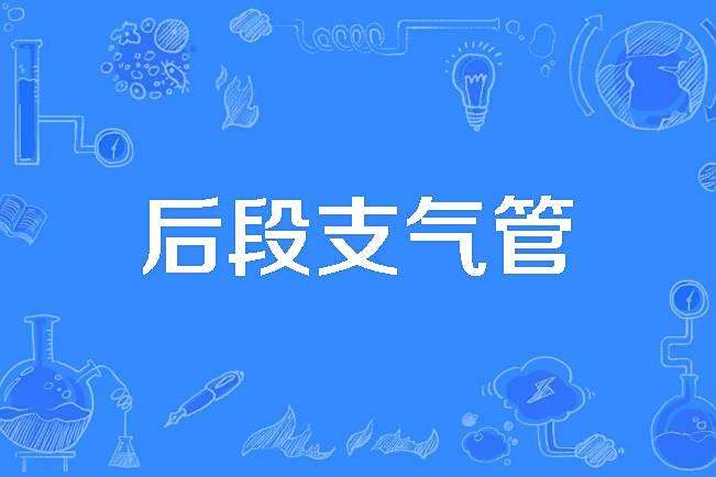 後段支氣管 後段支氣管