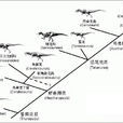 獸腳亞目(獸腳類) 獸腳亞目(獸腳類)