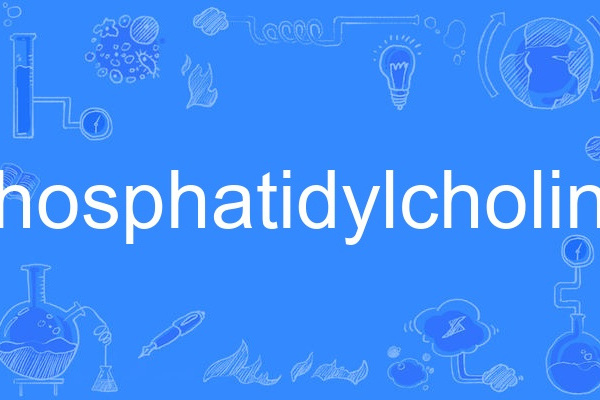 phosphatidylcholine phosphatidylcholine
