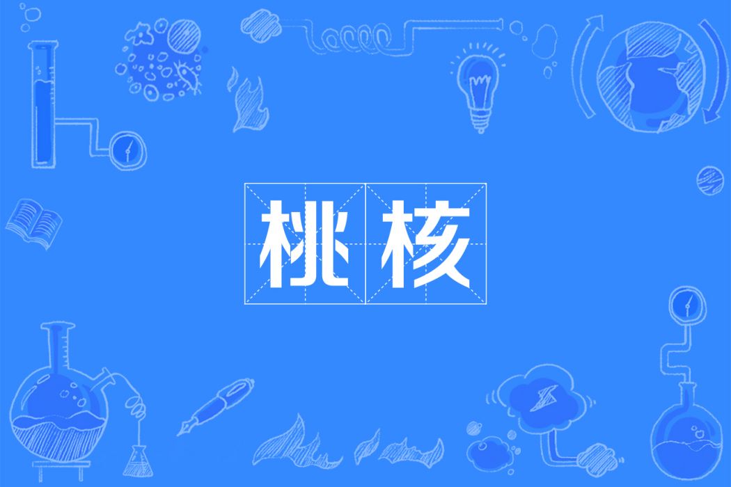 桃核 桃核