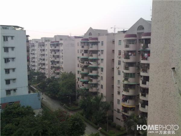 僑愛苑(港式樓盤小區) 僑愛苑(港式樓盤小區)