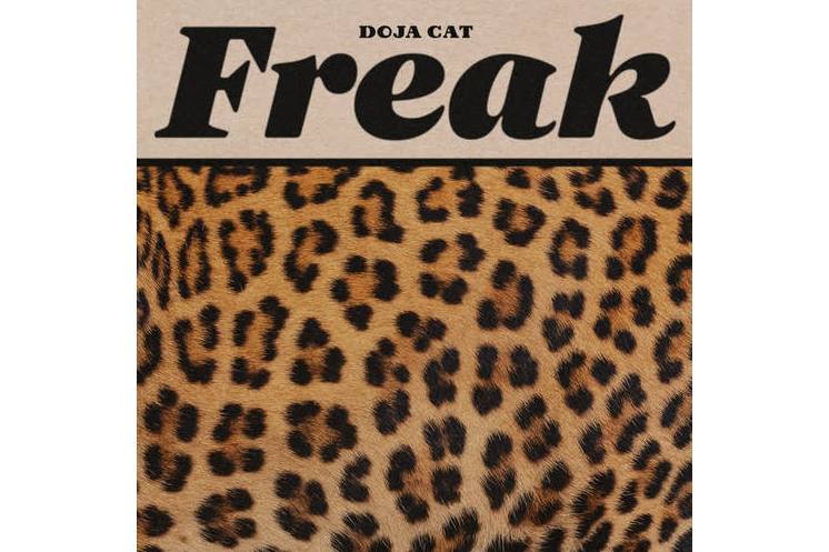 freak(2020年Doja Cat演唱的歌曲) freak(2020年Doja Cat演唱的歌曲)