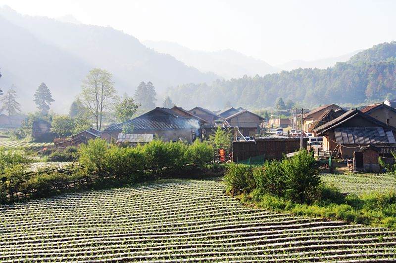 抗村村 抗村村