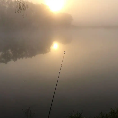 獅子口水庫(孔目江一級支流龍塘水支流何下港水上的中型水庫)